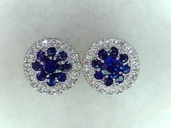 Colored Stone Earring